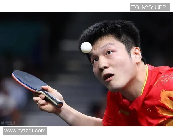 武汉乒乓球队耐力表现创新高引发广泛关注与热议